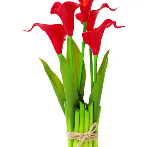 Ramo con base y alcatraces rojos de 6.5×6.5x33cm