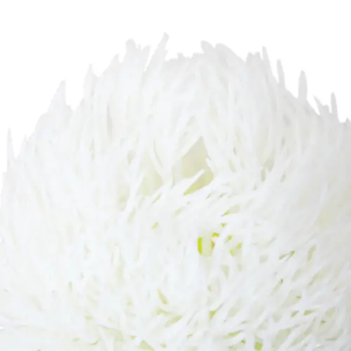 Vara con flor de plastico blanca de 9x50x0.1cm