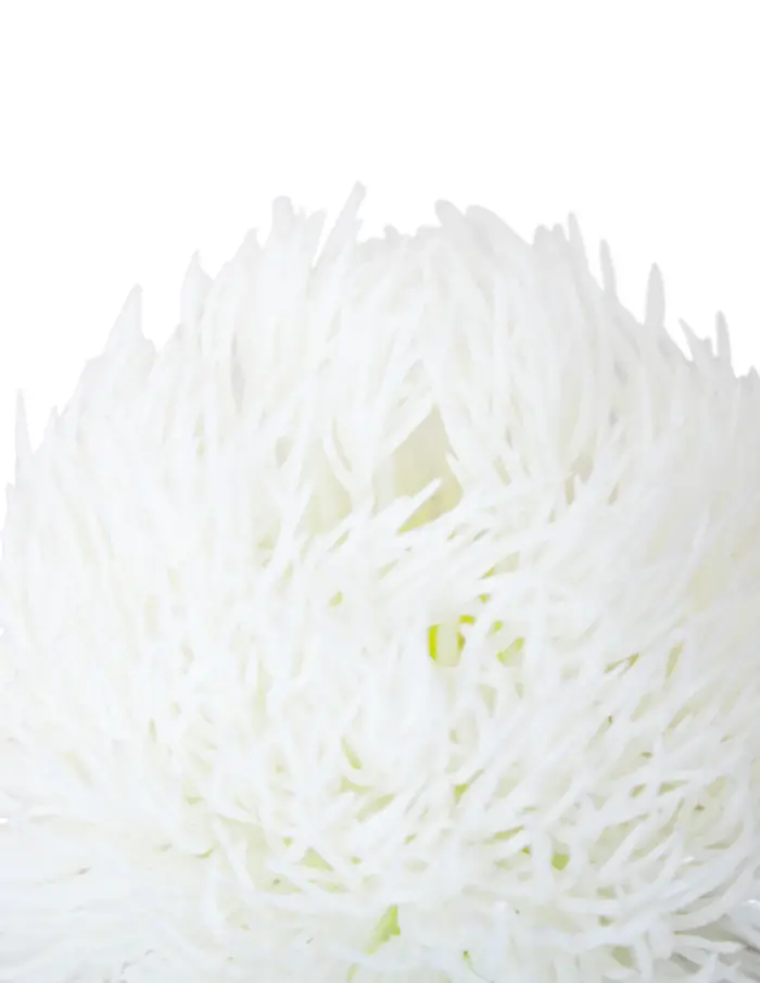 Vara con flor de plastico blanca de 9x50x0.1cm - Image 2