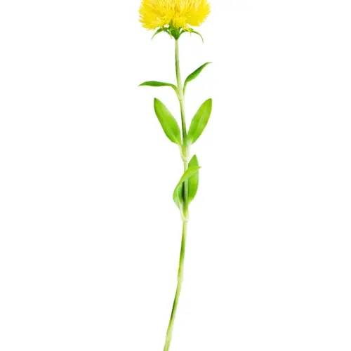 Vara con flor de plastico amarilla de 9x50x0.1cm