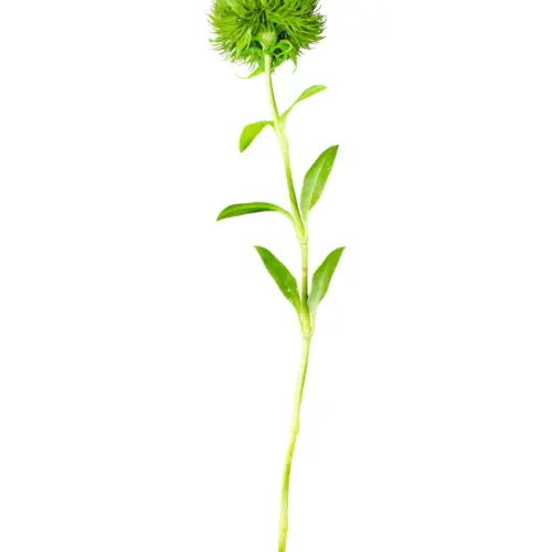 Vara con flor de plastico verde de 9x50x0.1cm