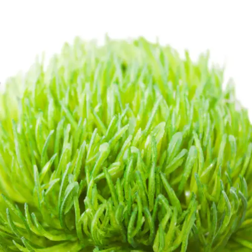 Vara con flor de plastico verde de 9x50x0.1cm