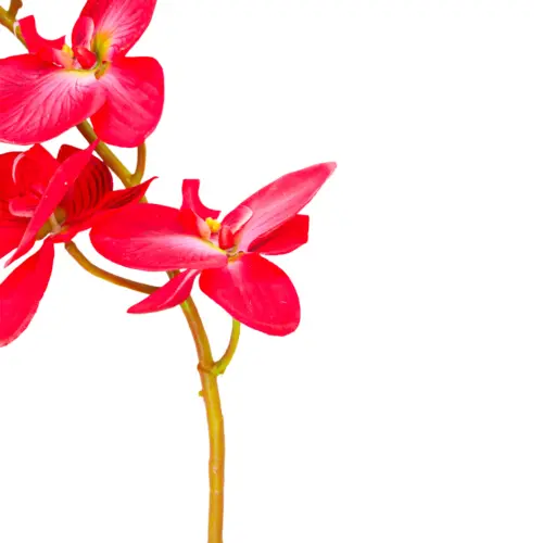 Vara de flor de orquidea roja de 17x110x0.1cm