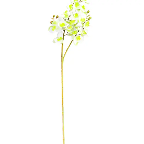 Vara de orquideas blancas de 15x75x0.1cm