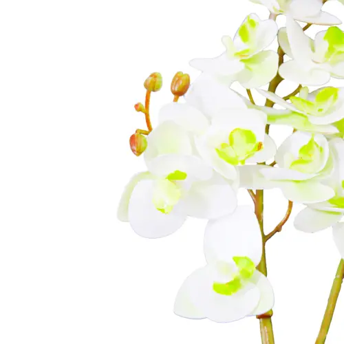 Vara de orquideas blancas de 15x75x0.1cm