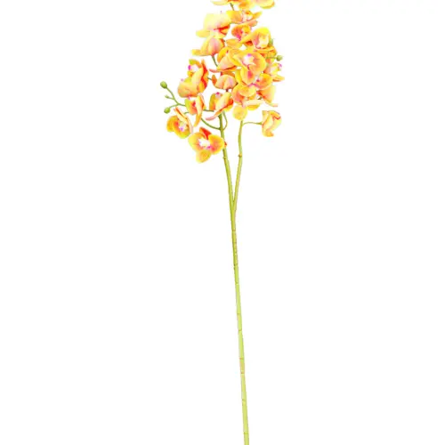Vara de orquideas naranja de 15x75x0.1cm