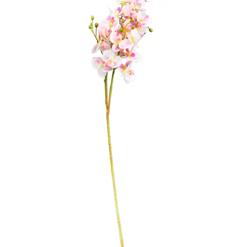 Vara de orquideas rosa de 15x75x0.1cm