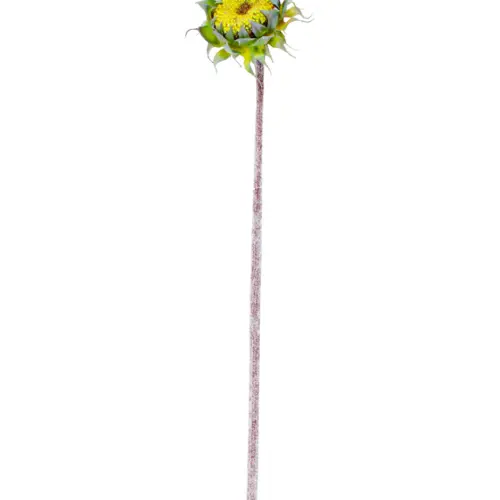 Vara con flor de girasol verde de 11x60x0.1cm