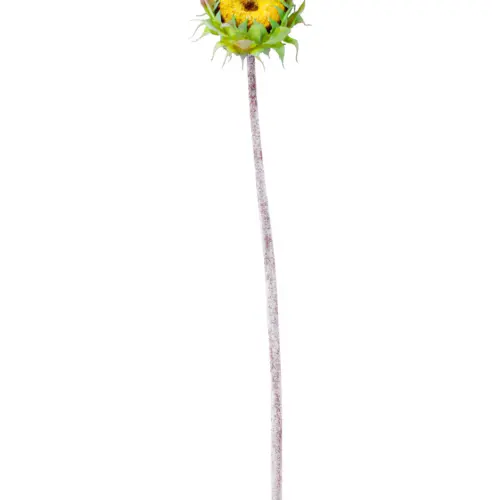 Vara con flor de girasol amarilla de 11x60x0.1cm