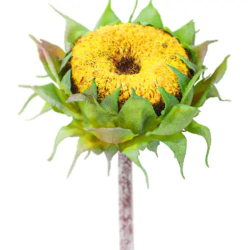Vara con flor de girasol amarilla de 11x60x0.1cm