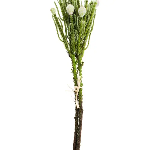 Vara de follaje de plastico con bolas en las puentas verde de 12x42x0.1cm
