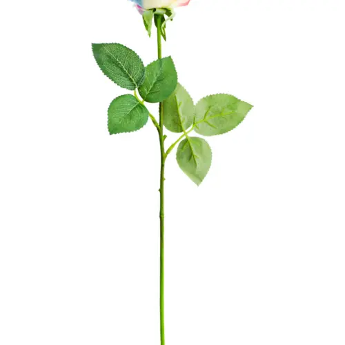 Vara de rosa arcoíris de 6x42x0.1cm