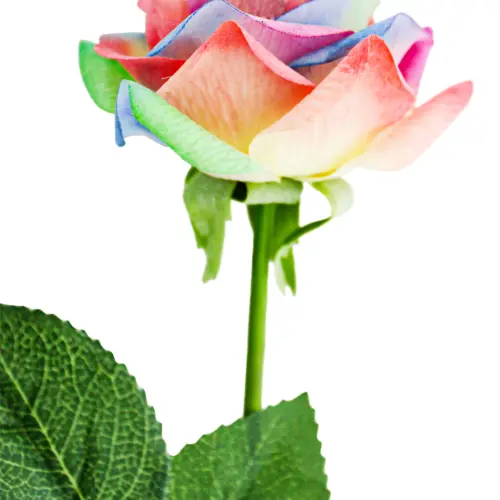 Vara de rosa arcoíris de 6x42x0.1cm