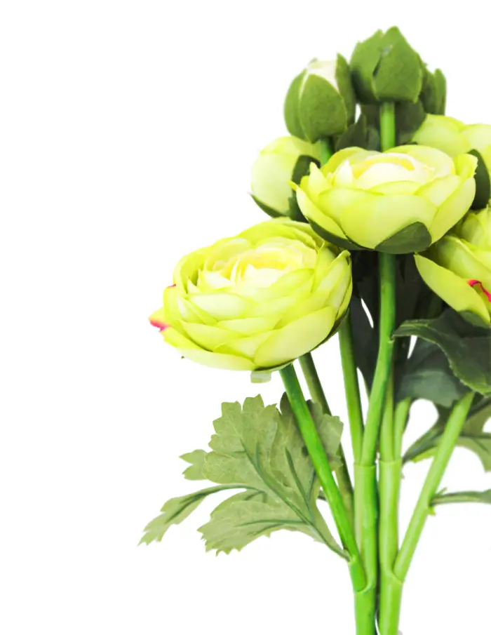 Ramo de flores de peonias verde de 15x53x0.1cm - Image 3