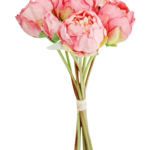 Ramo de rosas rosa claro de 20x35x0.1cm
