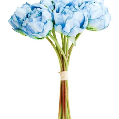Ramo de rosas azules de 20x35x0.1cm
