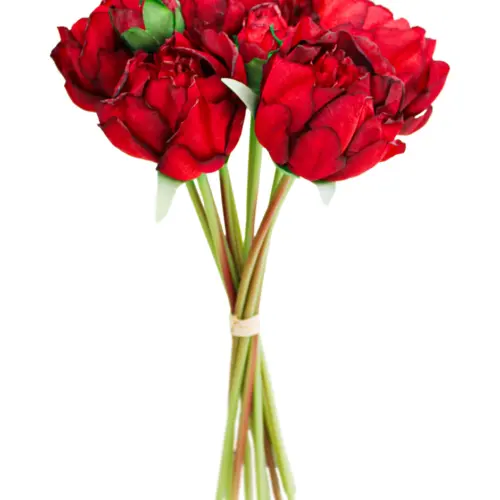 Ramo de rosas rojas de 20x35x0.1cm