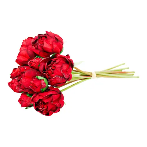 Ramo de rosas rojas de 20x35x0.1cm