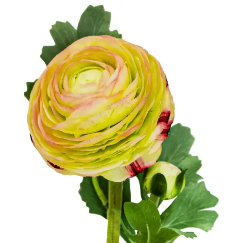 Flor de peonia artificial beige de 18x35x1cm