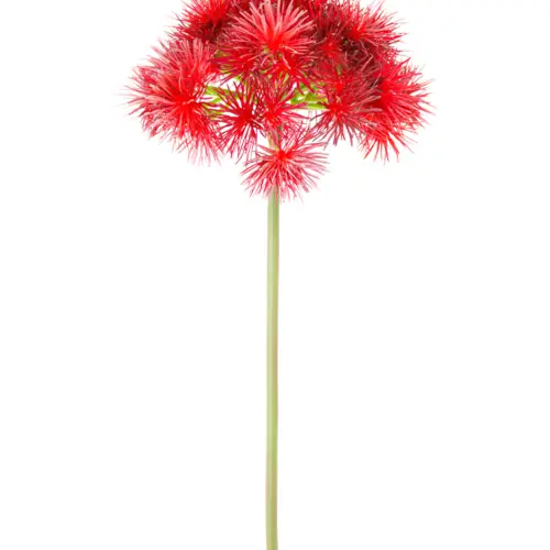 Vara de follaje de plastico con picos rojos de 18x35x0.1cm