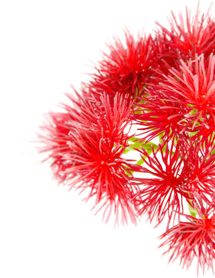 Vara de follaje de plastico con picos rojos de 18x35x0.1cm - Image 2