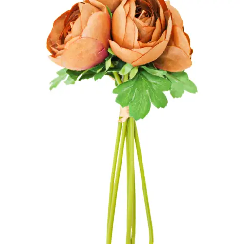 Bouquet de peonias cafe de 19×310.1cm