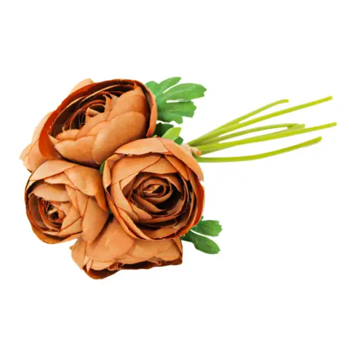 Bouquet de peonias cafe de 19×310.1cm