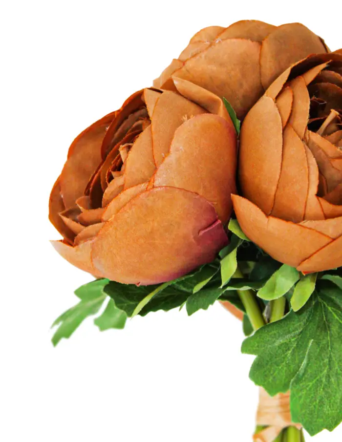 Bouquet de peonias cafe de 19x310.1cm - Image 3