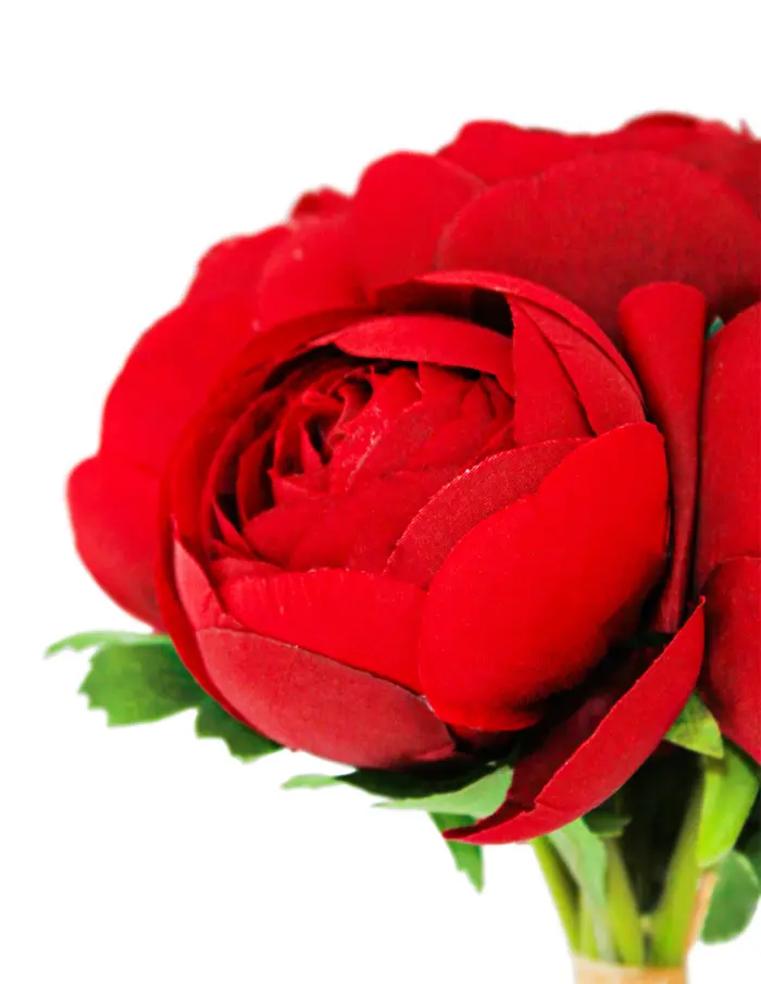 Bouquet de peonias rojas de 19x310.1cm - Image 3