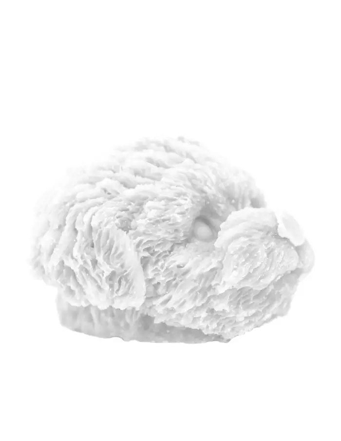 Vela decorativa diseño cabeza de perro blanca de 8x8x5.5cm - Image 2