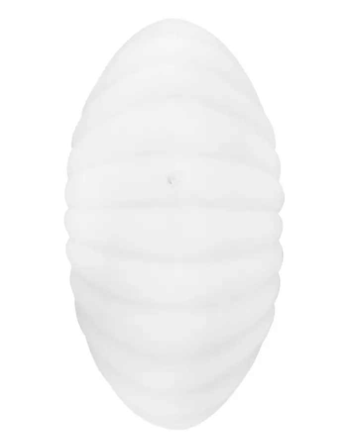 Vela decorativa diseño de almeja de color blanco de 4.5x8.5x6cm - Image 3