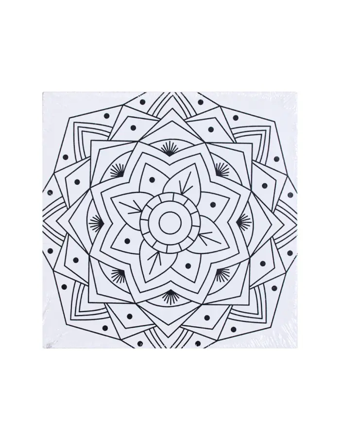 Juego de pinturas con marco de lienzo con pinturas acrílicas y pinceles con 16 piezas - Image 4