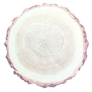 Mantel individual redondo de plastico diseño corteza de árbol de 38cm