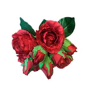 Ramo de hortencias rosas rojas