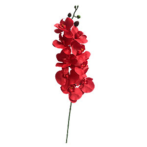 Vara de orquideas rojas