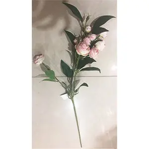 Vara con hojas y 9 rosas rosas