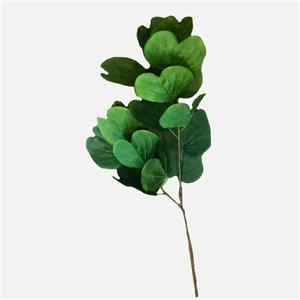 Vara de hojas verde