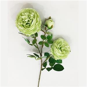 Vara de rosas verde claro