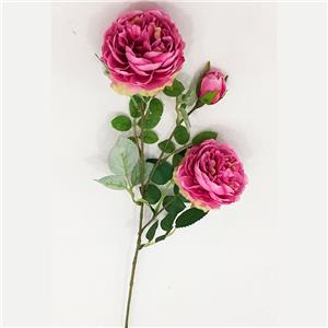 Vara de rosas rosa