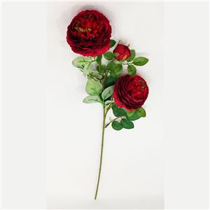 Vara de rosas rojas