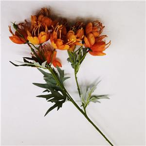 Flor de campanilla naranja