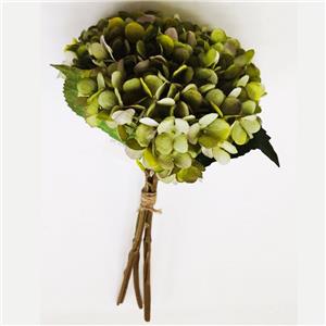 Bouquet de hortensias verdes