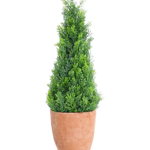 Árbol topiario verde de follaje de 80cm