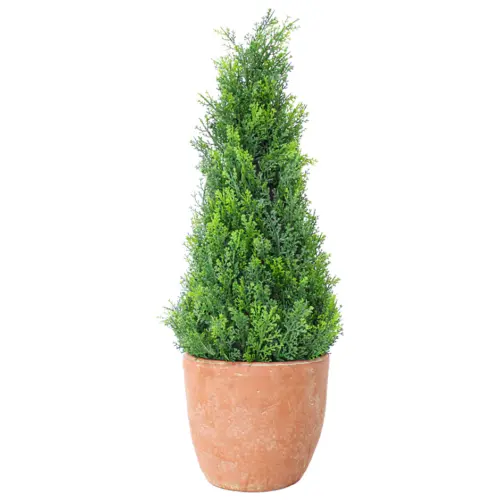 Topiario de follaje verde con maceta de ceramica de 60cm