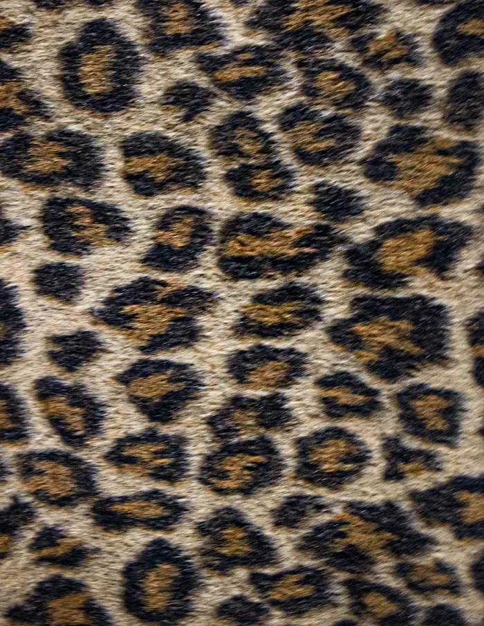 Capa con peluche diseño animal print de 75x110x75cm - Image 3