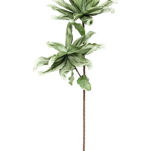 Vara de flor de estrella de latex verde de 20x85x0.1cm