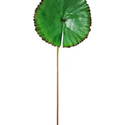 Vara de hojas verdes de 33x90x0.1cm