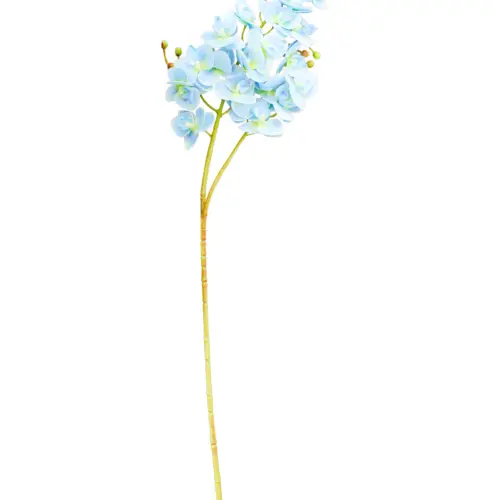 Vara de orquideas azules de 15x75x0.1cm