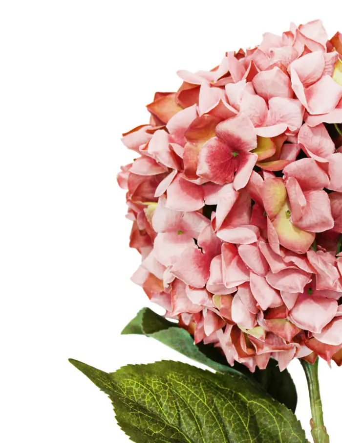 Vara con flor de hortensia redonda rosa de 87cm - Image 2