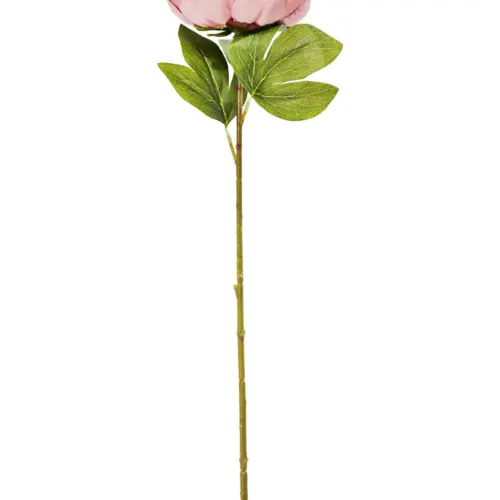 Vara de hojas verdes con flor poenia mauve de 51cm